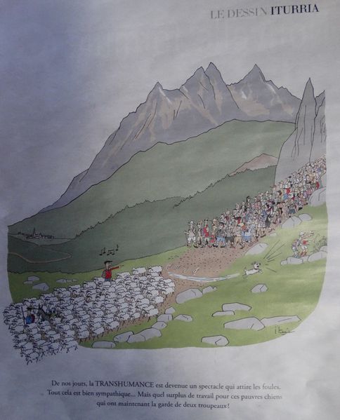 iturriatrans1