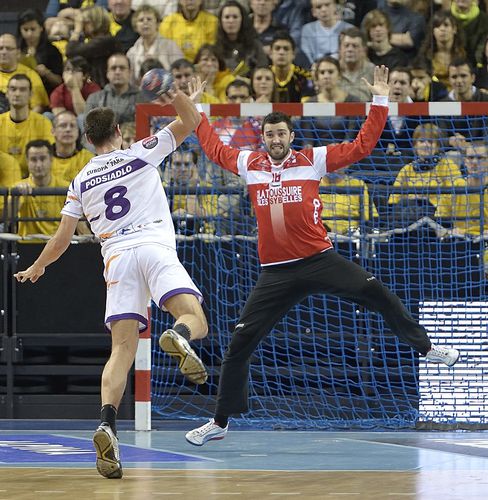 D1-Chambery-Selestat-28-11-2012-Photo-N-14.jpg
