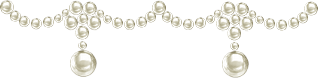 45541836