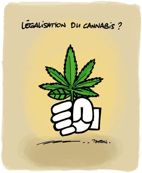 cannabis_v.jpg