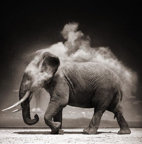 Nick-brandt
