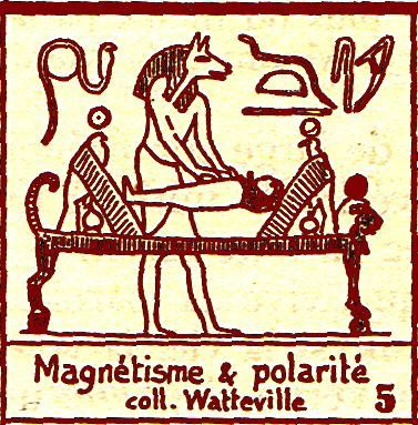 magnetisme-et-polarite-Watteville.jpg