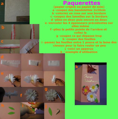 tuto paquerettes