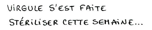 stérili41