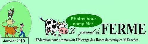 bandeau-janvier-09