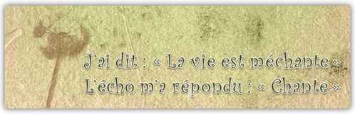J-ai-dit---JPG