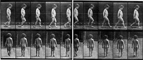 Marche enfant Muybridge