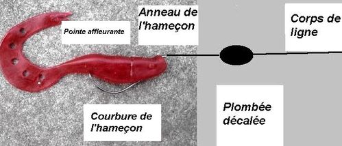 leurre1-copie-1.JPG