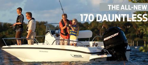 boston-whaler-170-dauntless.JPG