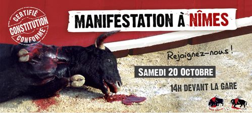 constitution affiche-print