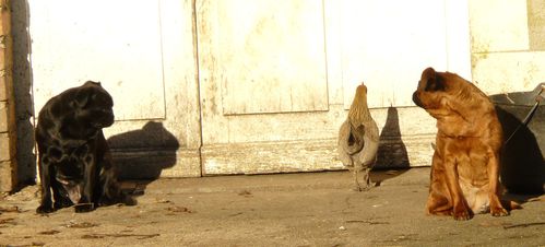 P1020152.JPG