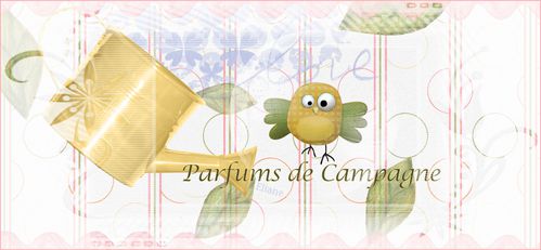 arrosoir pdc