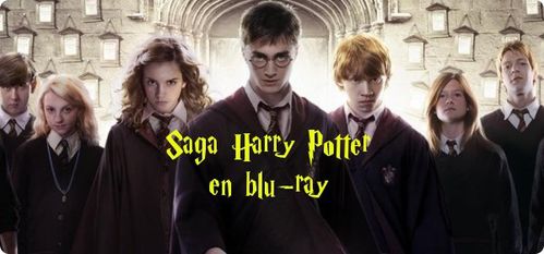 HarryPotterSaga