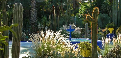 jardin_majorelle.-crepusculejpg-copie-2.jpg