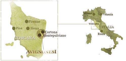 home-vineyards-visual