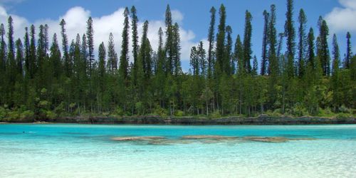 L'Île des Pins