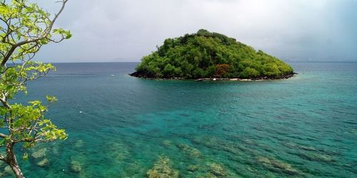 Le Sud Caraïbe