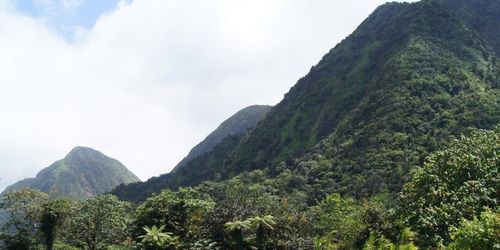 Piton Boucher - Morne Piquet
