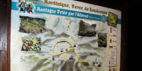Montagne Pelée par l'Aileron