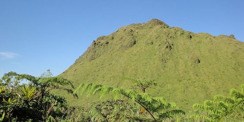Montagne Pelée par l'Aileron