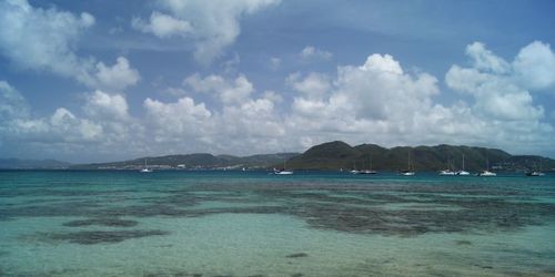 Anse Caritan - Salines