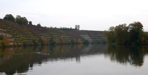 kirchheimvins bordneckar