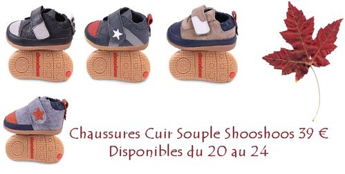 shooshoos3.jpg