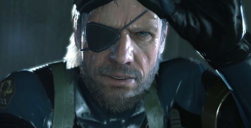snake--.jpg