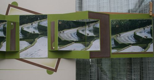Annee-2012-6196.JPG