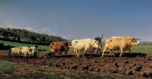 Rosa-Bonheur-labourage nivernais