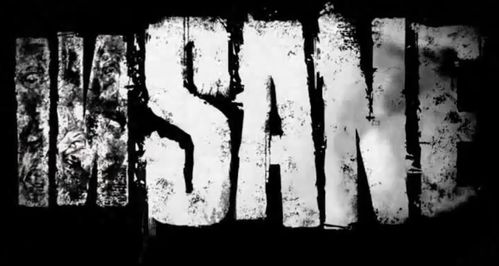 insane-logo.jpg