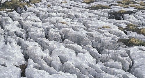 Lapiaz ou Lapiès.
