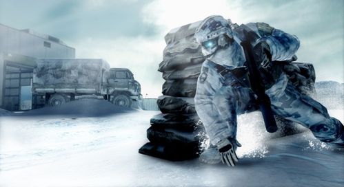 Arctictcm2457778.jpg