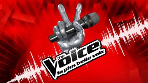 the-voice.jpg