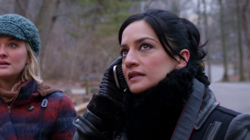 the-good-wife-archie-panjabi-kalinda-lesbian.png
