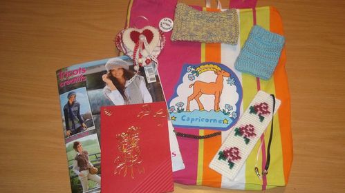 N-206-Le-sac-Capricorne-en-Bretagne.jpg