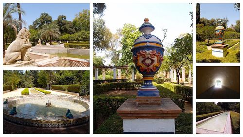jardins-maria-luisa-seville.jpg