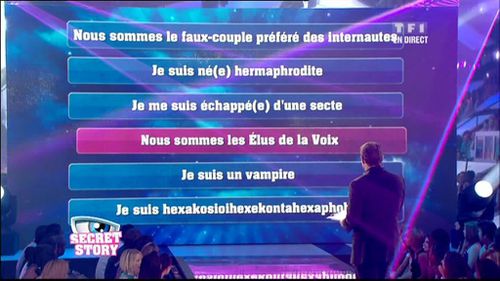 TF1-2010-07-09_214001.jpg
