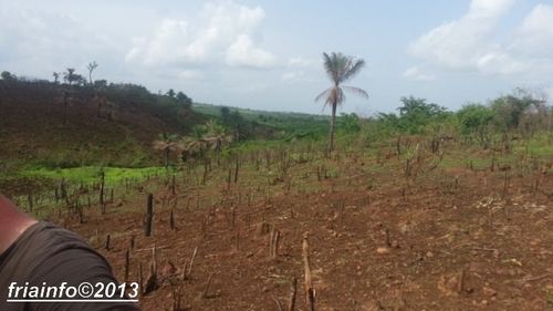 Environnement (1)