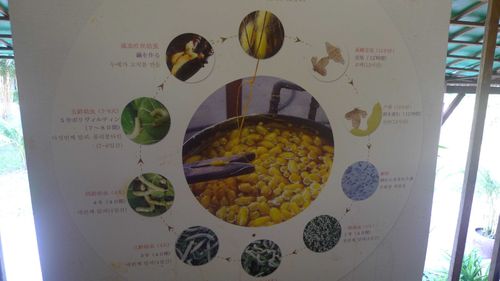 P1030586