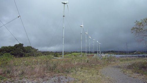 P1110916.JPG
