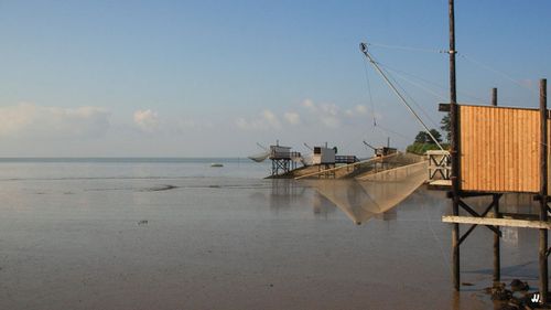 Vues de Meschers sur Gironde 02
