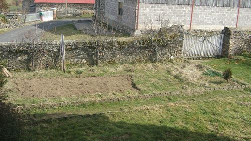 mars(3)2010 014