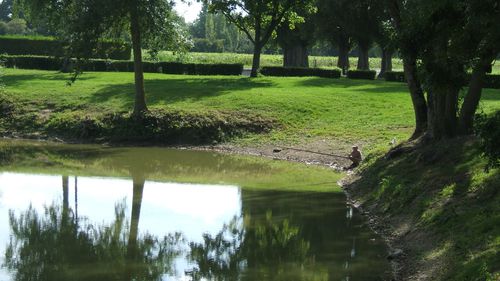 mi-août 2011 002