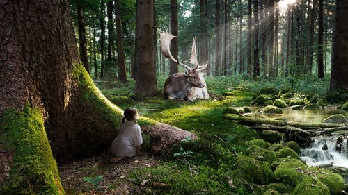 forest dream by machiavellicro-d5hwsic