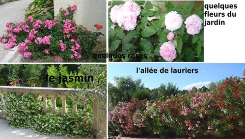 qques-fleurs.jpg