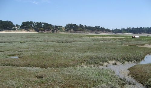 La-Guimorais-10.JPG