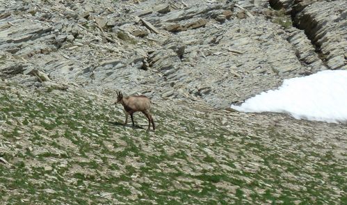 2011-06-28-Mont Pelat-71