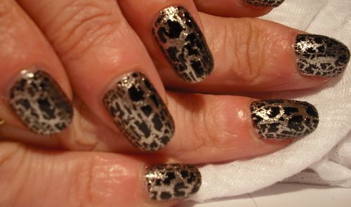 Argent-cracke-5.jpg
