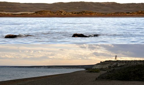 Valdès windsurf